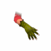 The Scaly Scrapers