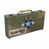Warbird Weapons Case