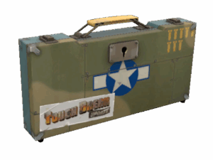 Warbird Weapons Case