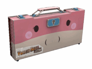 Pyroland Weapons Case