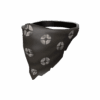 Strange Bruiser's Bandanna