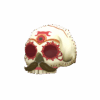 The Corpus Christi Cranium