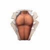 Burly Beast