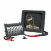 Strange Part: Spies Killed