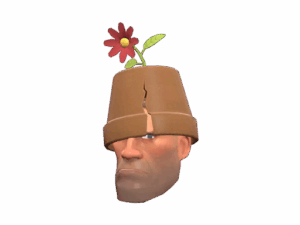 Unusual Crack Pot