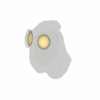 Strange Apparition's Aspect