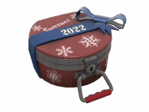 Winter 2022 Cosmetic Case