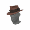 Unusual Brimmed Bootlegger