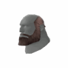 The Unshaved Bear