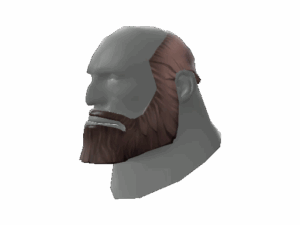 The Unshaved Bear