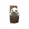 Clubsy The Seal