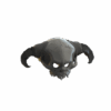 Spine-Chilling Skull