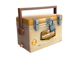 Orange Summer 2013 Cooler Series #63