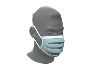 Particulate Protector