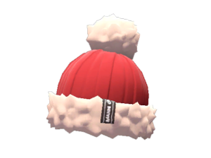 Professional's Pom-Pom