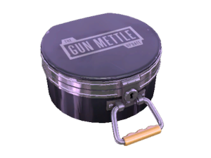 Gun Mettle Cosmetic Case